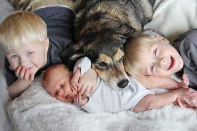 Due bambini biondi e un neonato accoccolati nel letto assieme a un grande cane marrone.