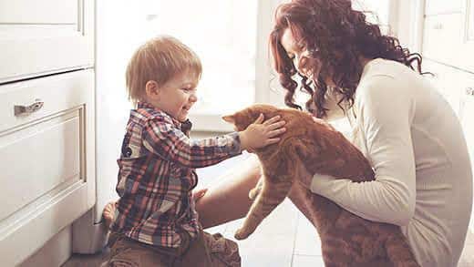 Una mamma fa conoscere un gatto rosso a un bambino