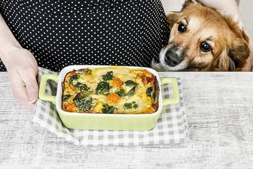 Cane seduto vicino a una donna con un vestito nero a pois bianchi dietro a una teglia di cibo.