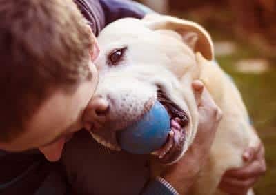 Un uomo abbraccia un labrador miele con una pallina blu in bocca.