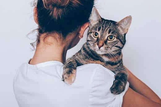 Giovane donna tiene in braccio il suo gatto tigrato, dall'espressione seria. Proprietaria abbraccia il suo animale su sfondo bianco.