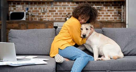 Donna con maglione giallo che abbraccia il suo labrador chiaro seduta su un divano grigio.