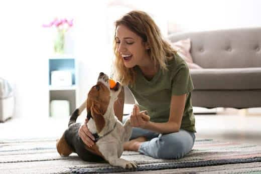 Giovane donna gioca con il suo cane in casa