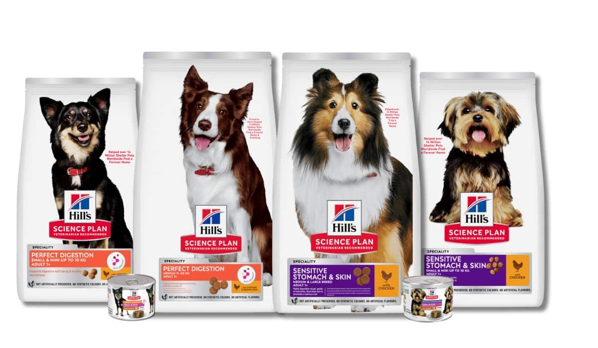 Digestive health dog foods