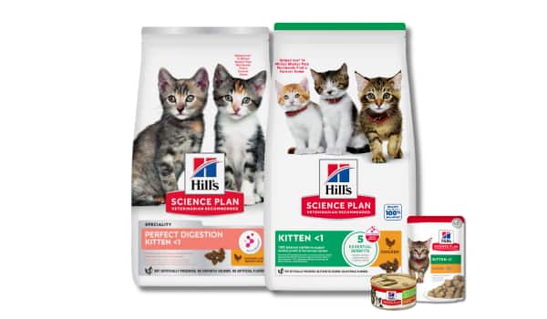 Tre buste di alimenti secchi e umidi per gattini Hill’s Science Diet