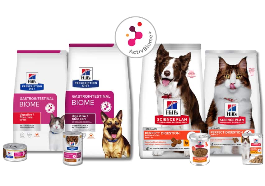 pack Hill’s Prescription Diet e Science Plan con ActivBiome+