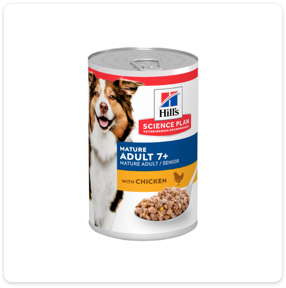 Hill's Science Plan Senior Dog Confezione di alimento umido