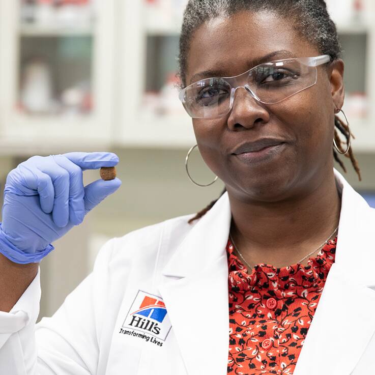 run ricercatore tiene una crocchetta