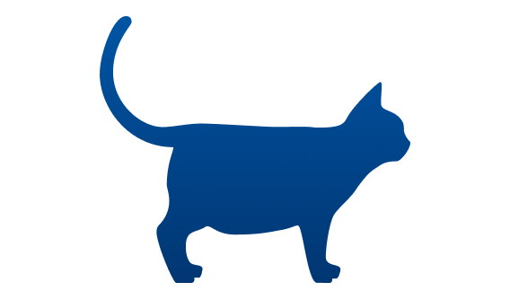 gatto sovrappeso