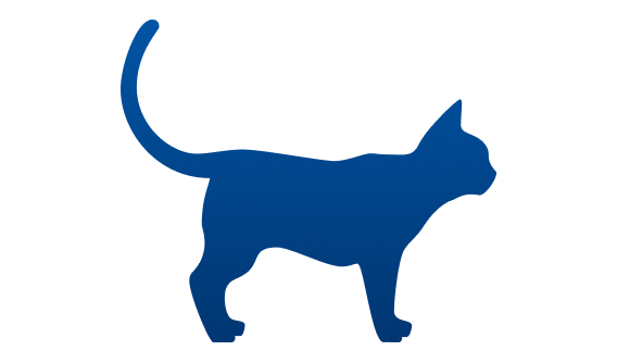 gatto sottopeso